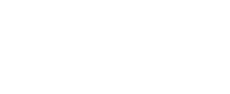 AmiHC